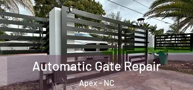  Automatic Gate Repair Apex - NC
