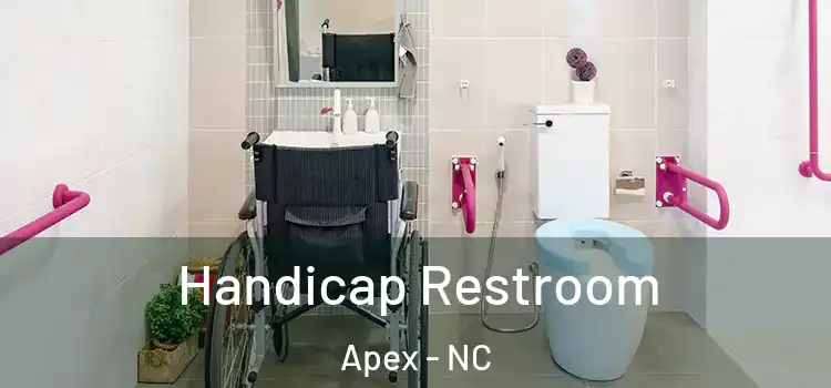 Handicap Restroom Apex - NC
