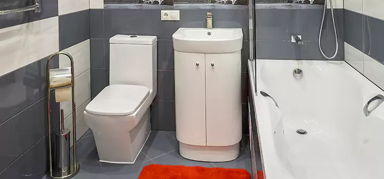 Hansgrohe Shaving Mirror Apex